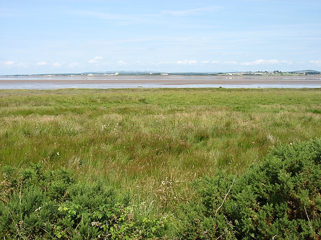 The Solway Firth Spaceman Photo.