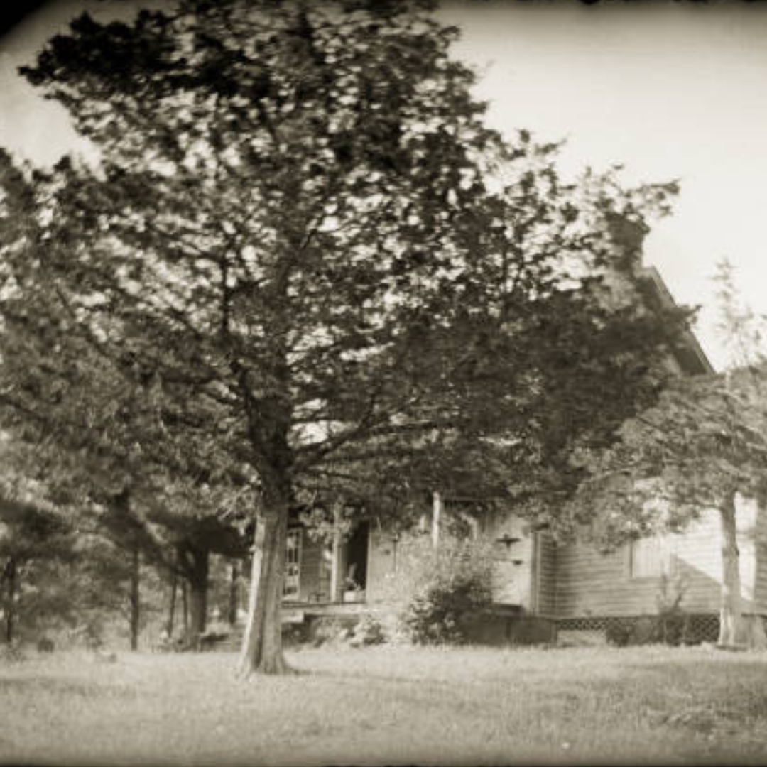 The curious hauntings at Bachelor’s Grove Cemetery.