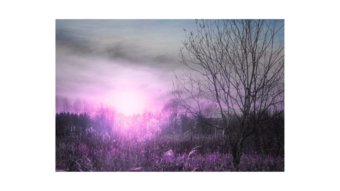 How to Navigate run up to the festive season.