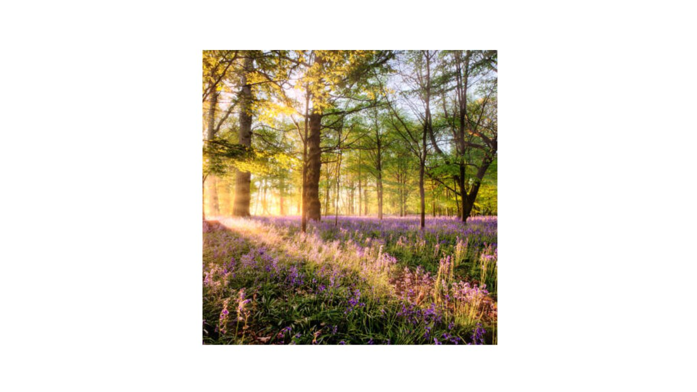 March: Work with what is waking up.