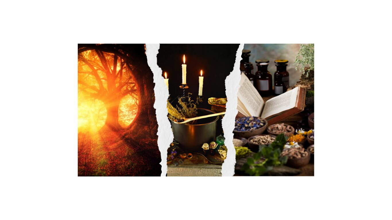 Hedgewitch vs Green Witch vs Kitchen Witch: What’s the Difference?